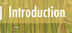 introduction